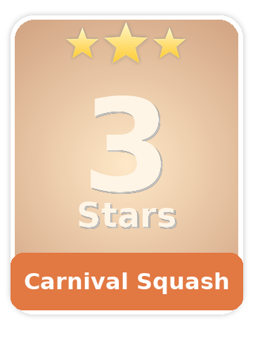 Carnival Squash